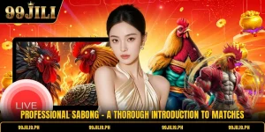 Professional Sabong - A Thorough Introduction To Matches