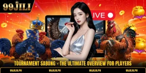 Tournament Sabong - The Ultimate Overview For Players